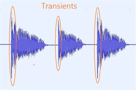 what are transients in music what do they sound like?